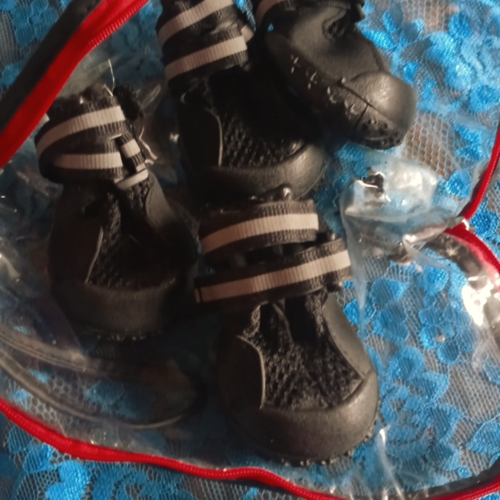 Small dog shoes